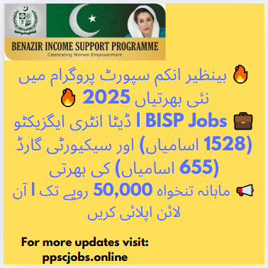 🌟 Golden Opportunity: BISP Jobs 2025 – Apply Now for Data Entry & Security Guard Positions! 🚀